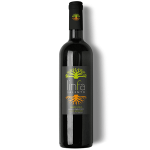 Amaro di foglie di Ulivo - Salentocongusto.com