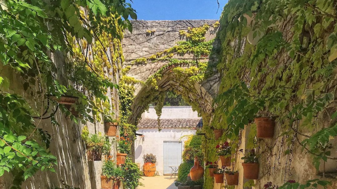 Alla scoperta del giardino botanico più grande del Salento