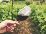 vini rossi del salento quali sono - Salentocongusto.com