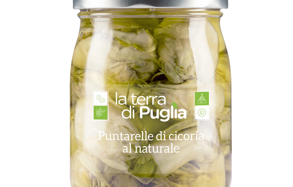 Puntarelle sott’olio: i contadini del Salento ci svelano la ricetta