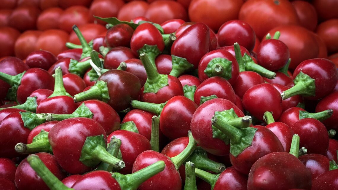 Peperoncini del Salento: provali così! Peperoncini del Salento: provali così!