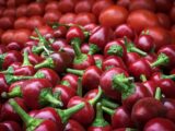 peperoncini del Salento - Salentocongusto.com