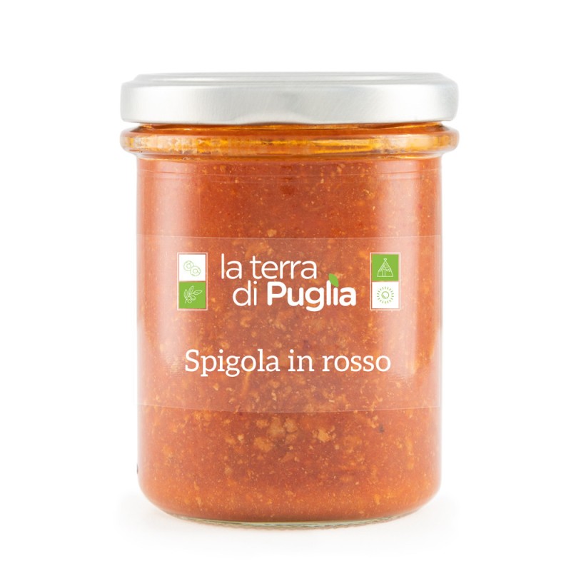 sugo di pesce con spigola pugliese - Salentocongusto.com