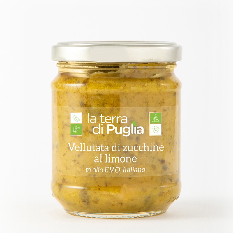 vellutata di zucchine - Salentocongusto.it