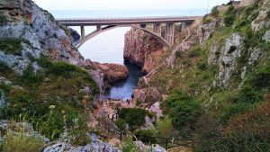 ponte del ciolo - vacanze in Salento - Salentocongusto.com