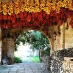 masserie salento - Salentocongusto.com