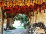 Masserie Salento: tra storia, natura e ospitalità autentica