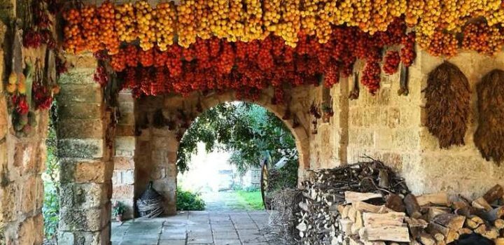 Masserie Salento: tra storia, natura e ospitalità autentica