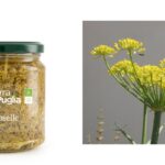 Caroselle in aceto in vasetto e ombrelle fiorite del finocchio selvatico