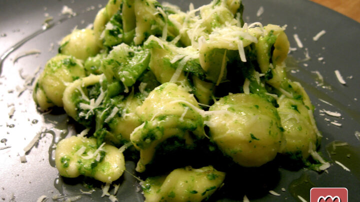 Piatto di orecchiette con le cime di rapa e pecorino grattugiato