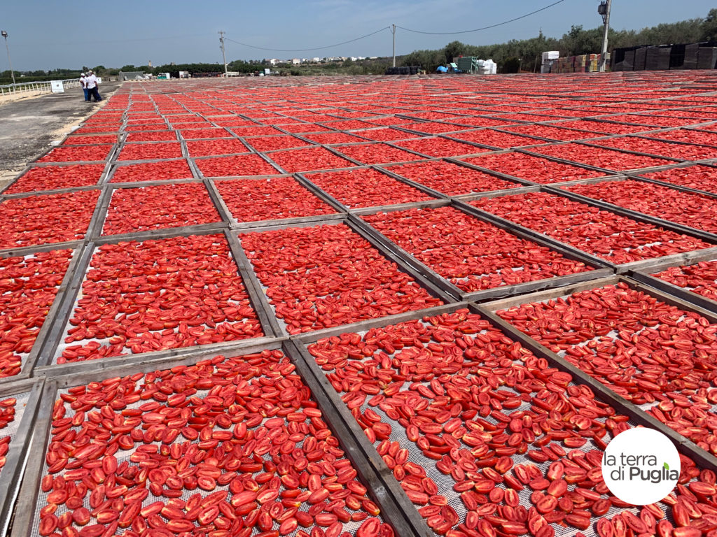 pomodori secchi i contadini ugento