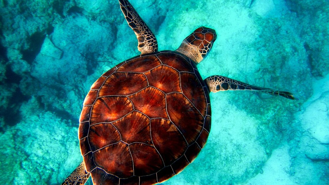 Cosa vedere nel Salento in una settimana Cosa vedere nel Salento in una settimana
