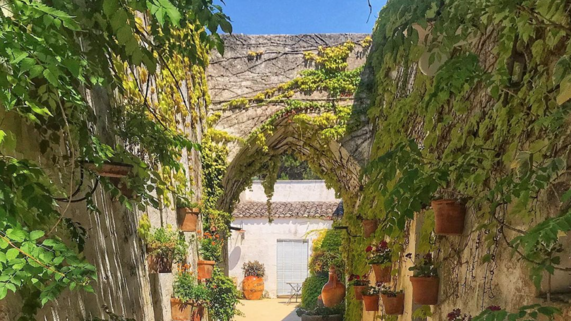 Alla scoperta del giardino botanico più grande del Salento Alla scoperta del giardino botanico più grande del Salento