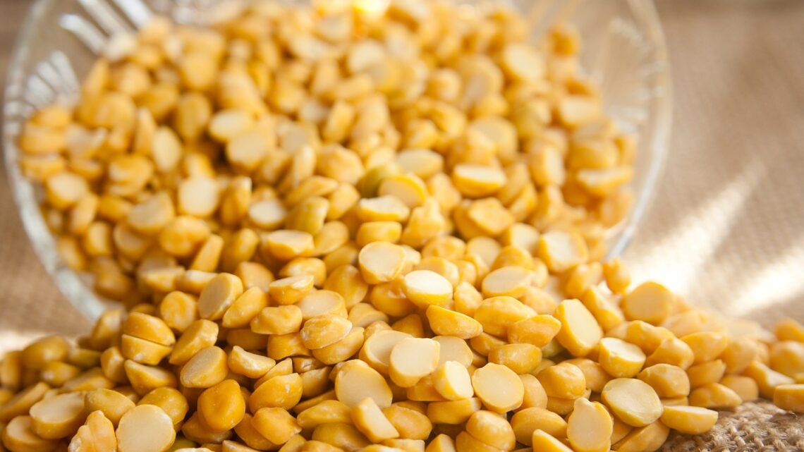 I legumi del Salento, tipologie e ricette da provare I legumi del Salento, tipologie e ricette da provare