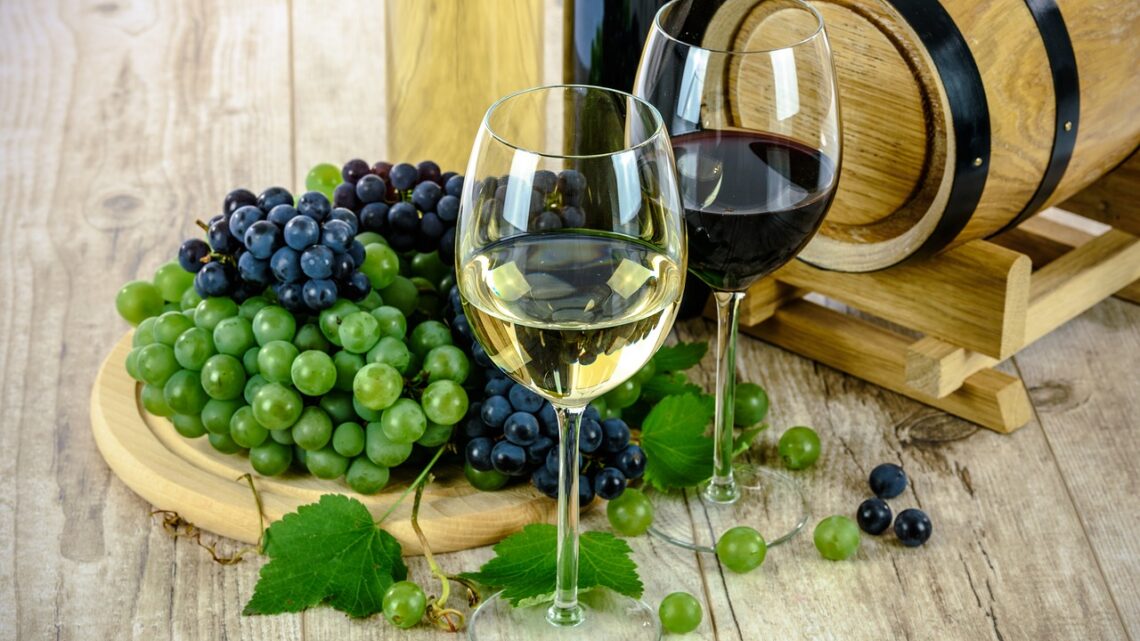 Piccola guida ai vini del Salento