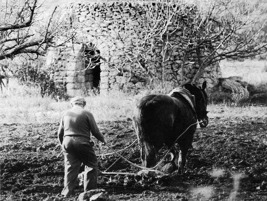 Tutti i mestieri dei contadini del Salento Tutti i mestieri dei contadini del Salento